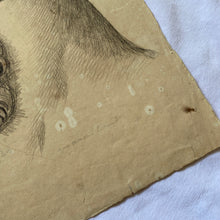 Charger l'image dans la galerie, Dessins anciens originaux au crayon