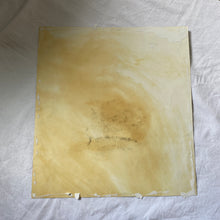 Charger l'image dans la galerie, Nature morte sur papier