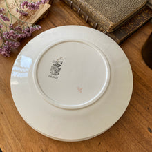 Charger l'image dans la galerie, Larges assiettes à dessert Digoin "4027"