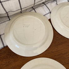 Charger l'image dans la galerie, Assiettes plates en faïence, "Grasse"