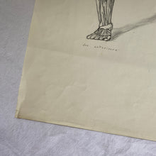 Charger l'image dans la galerie, Dessins anciens originaux au crayon