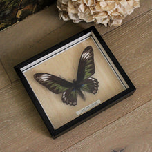 Charger l'image dans la galerie, Tableaux anciens, peintures sur toile paysages de rivière et papillon géant encadré