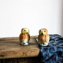 Charger l'image dans la galerie, Duo salière et poivrière chouettes en barbotine