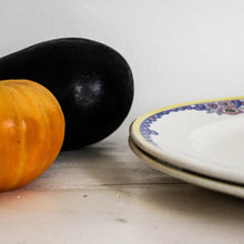 Charger l'image dans la galerie, Duo d'assiettes anciennes colorées