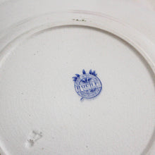 Charger l'image dans la galerie, Duo d'assiettes anciennes colorées