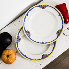 Charger l'image dans la galerie, Duo d'assiettes anciennes colorées