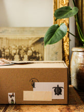 Charger l'image dans la galerie, Coffret cadeau vintage "Pluvier de Java"