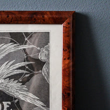 Charger l'image dans la galerie, Illustrations Années 20 et cadres vintage