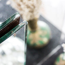 Charger l'image dans la galerie, Miroir curviligne 1960