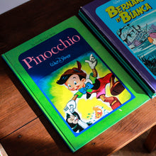 Charger l'image dans la galerie, Livres vintage "Les jardins des rêves"