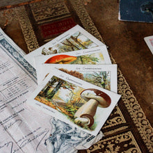Charger l'image dans la galerie, Cartes anciennes champignons
