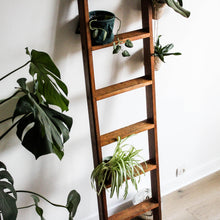 Charger l'image dans la galerie, Échelle en chêne