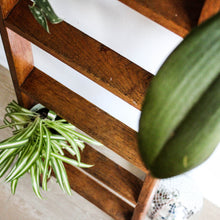Charger l'image dans la galerie, Échelle en chêne