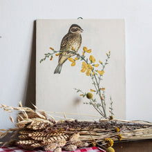 Charger l'image dans la galerie, Illustration de Bruant proyer