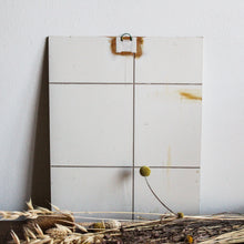 Charger l'image dans la galerie, Illustrations d'oiseaux vintage