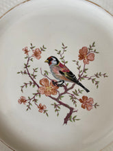 Charger l'image dans la galerie, Chardonneret élégant arbre en fleurs