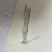 Charger l'image dans la galerie, Dessins anciens originaux au crayon
