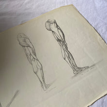 Charger l'image dans la galerie, Dessins anciens originaux au crayon
