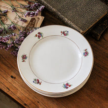 Charger l'image dans la galerie, Assiettes à dessert Digoin
