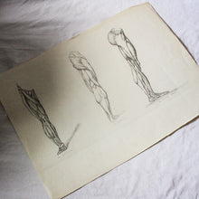 Charger l'image dans la galerie, Dessins anciens originaux au crayon
