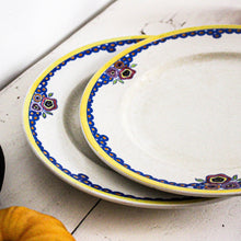 Charger l&#39;image dans la galerie, Duo d&#39;assiettes anciennes colorées
