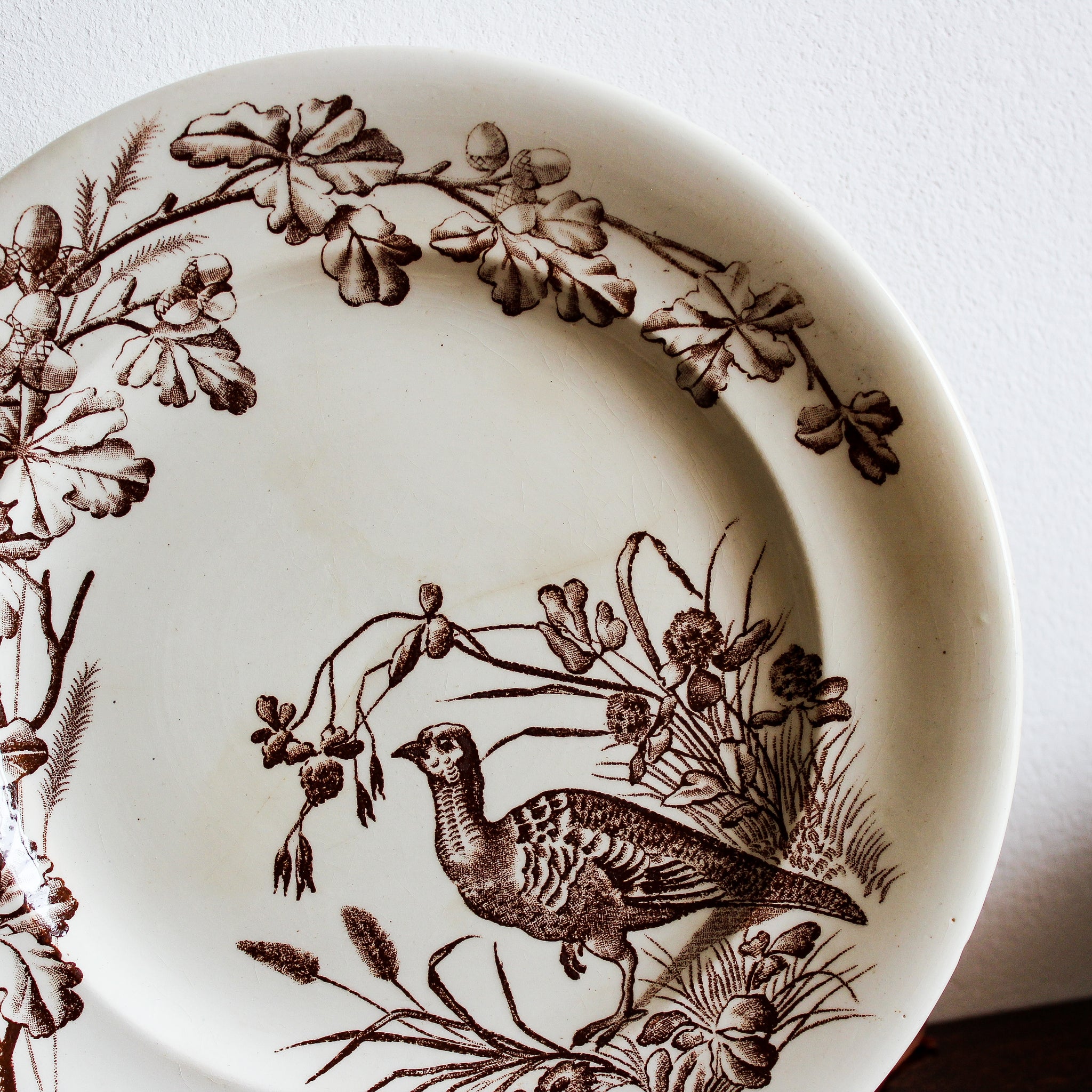 Assiette terre de fer Clairefontaine, 